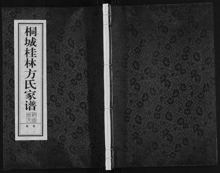 安徽方氏族谱-桐城桂林方氏家谱.pdf电子版插图
