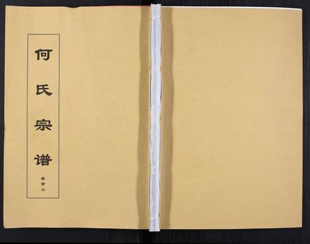 安徽何氏族谱-何氏宗谱[8卷首2卷].pdf电子版插图
