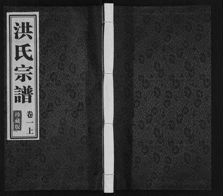 安徽洪氏族谱-洪氏宗谱[5卷].pdf电子版插图