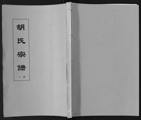 安徽胡氏族谱-胡氏宗谱[8卷].pdf电子版插图