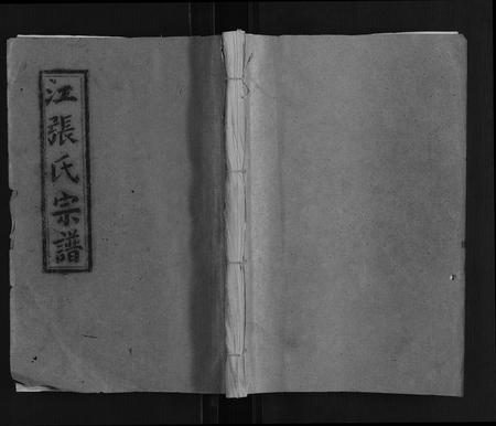 安徽江张氏族谱-江张氏宗谱[12卷首1卷].pdf电子版