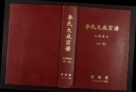 安徽李氏族谱-李氏大成宗谱.pdf电子版插图