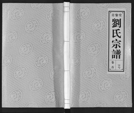 安徽刘氏族谱-刘氏宗谱[10卷].pdf电子版插图
