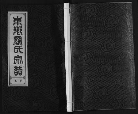 安徽罗氏族谱-罗氏宗谱.pdf电子版插图