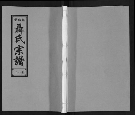 安徽聂氏族谱-聂氏宗谱.pdf电子版插图