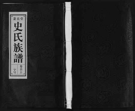 安徽史氏族谱-史氏族谱.pdf电子版插图