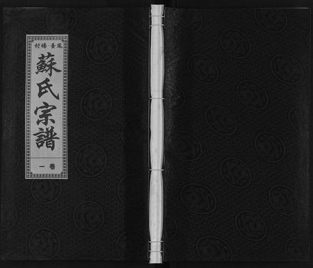 安徽苏氏族谱-凤台苏氏宗谱.pdf电子版插图