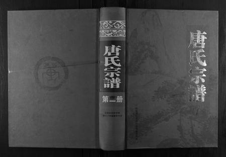 安徽唐氏族谱-唐氏宗谱.pdf电子版插图