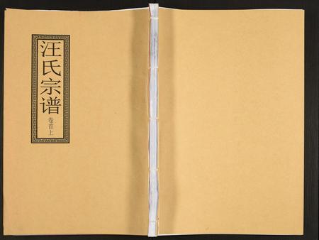 安徽汪氏族谱-汪氏宗谱.pdf电子版插图