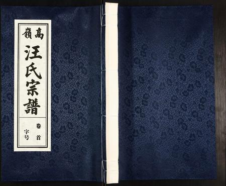 安徽汪氏族谱-高岭汪氏宗谱.pdf电子版插图