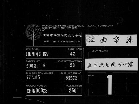 安徽王氏族谱-武口王氏统宗世谱 [卷数杂异].pdf电子版