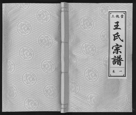 安徽王氏族谱-王氏宗谱.pdf电子版插图 安徽王氏族谱-王氏宗谱.pdf电子版插图