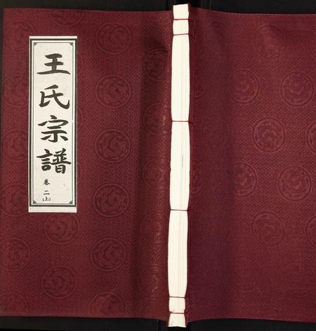 安徽王氏族谱-王氏宗谱.pdf电子版插图