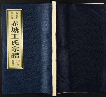 安徽王氏族谱-王氏宗谱.pdf电子版插图