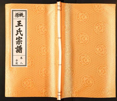 安徽王氏族谱-王氏宗谱.pdf电子版插图