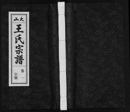 安徽王氏族谱-王氏宗谱[23卷末1卷].pdf电子版插图