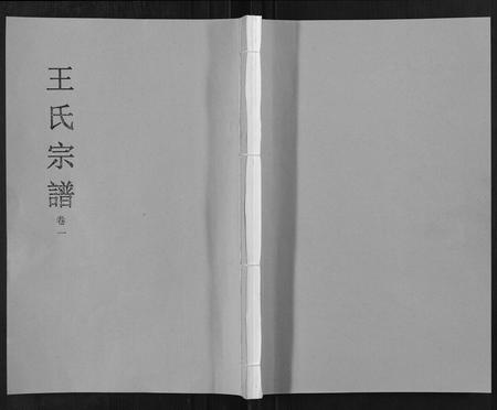安徽王氏族谱-王氏宗谱[32卷].pdf电子版插图