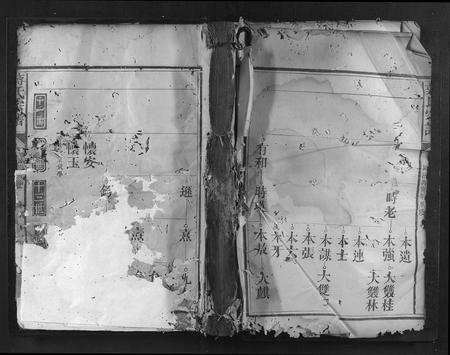 福建蒋氏族谱-蒋氏宗谱.pdf电子版插图 福建蒋氏族谱-蒋氏宗谱.pdf电子版插图