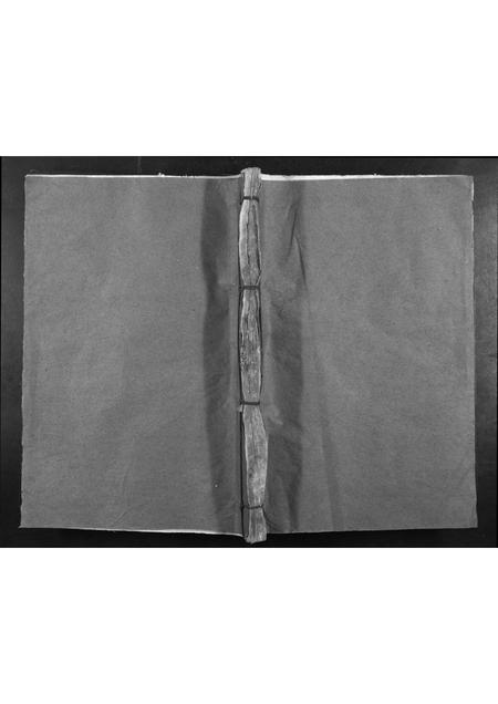 福建康氏族谱-蒲田康氏重修族谱[不分卷].pdf电子版