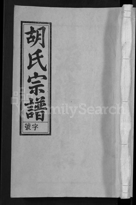 安徽胡氏族谱-胡氏宗谱 [67卷,首1卷].pdf电子版