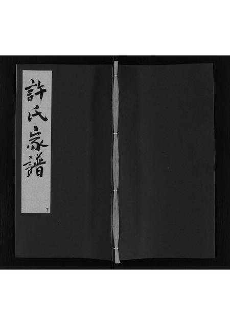 安徽许氏族谱-许氏家谱 [不分卷].pdf电子版插图