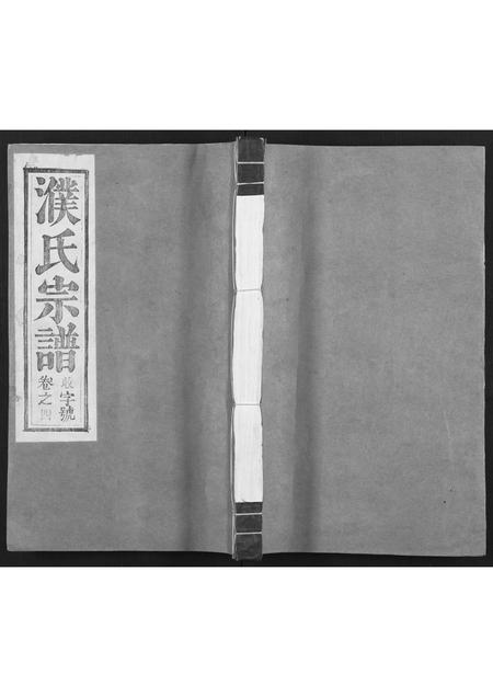 安徽濮氏族谱-濮氏宗谱 [12卷].pdf电子版插图