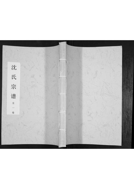 安徽沈氏族谱-沈氏宗谱[全1卷].pdf电子版插图