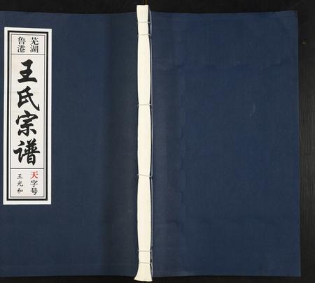 安徽王氏族谱-芜湖鲁港王氏宗谱.pdf电子版插图