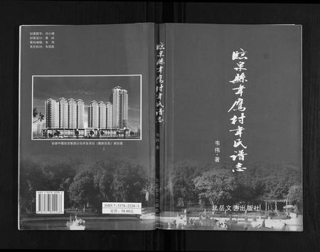 安徽韦氏族谱-临泉县韦应村韦氏谱志.pdf电子版插图