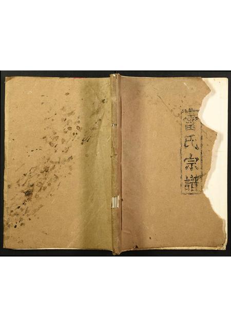 福建雷氏族谱-雷氏宗谱.pdf电子版