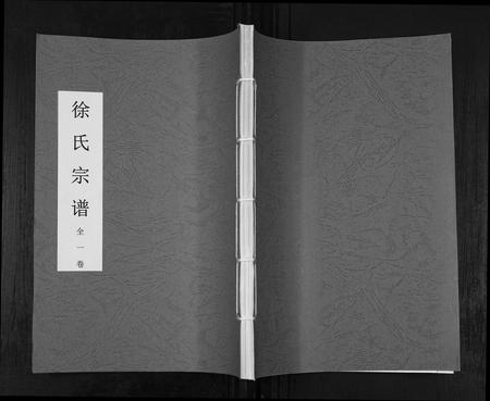 安徽徐氏族谱-徐氏宗谱.pdf电子版插图