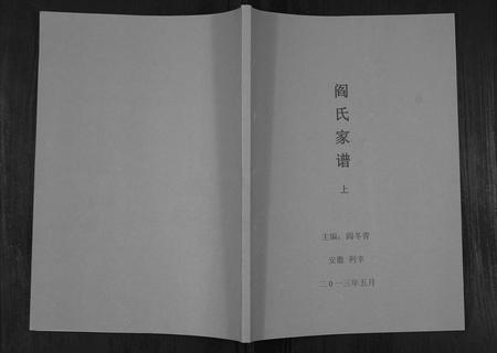 安徽阎氏族谱-阎氏家谱.pdf电子版插图