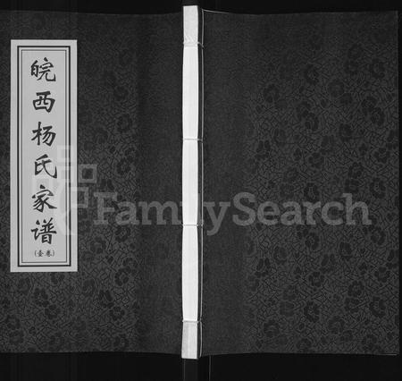 安徽杨氏族谱-皖西杨氏家谱 [3卷].pdf电子版插图