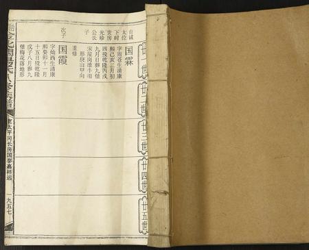 江西杨氏族谱-瑞金北关杨氏八修族谱.pdf电子版插图