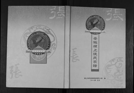 安徽张氏族谱-安徽颍上张氏家谱.pdf电子版插图