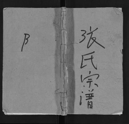 安徽张氏族谱-张氏宗谱.pdf电子版插图