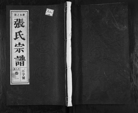安徽张氏族谱-张氏宗谱.pdf电子版插图