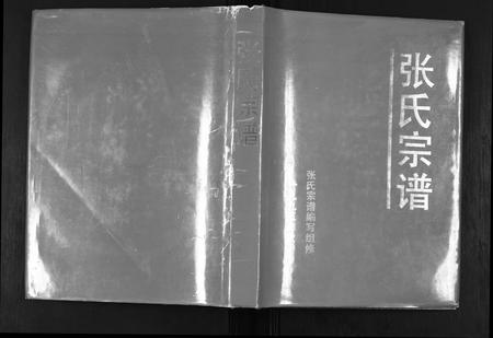 安徽张氏族谱-张氏宗谱.pdf电子版插图