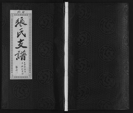 安徽张氏族谱-张氏宗谱.pdf电子版插图
