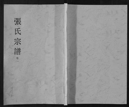 安徽张氏族谱-张氏宗谱[6卷].pdf电子版插图