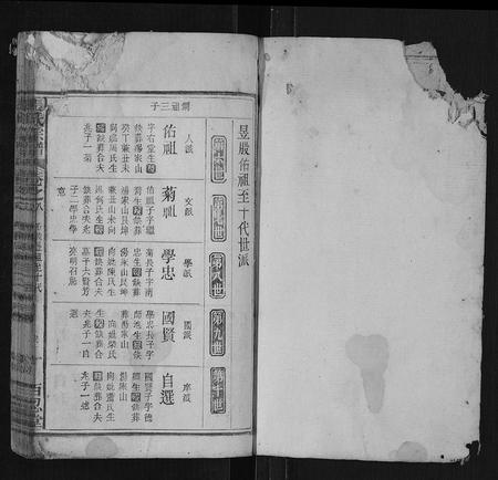 安徽张氏族谱-张氏宗谱[残卷].pdf电子版插图