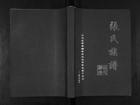 安徽张氏族谱-张氏族谱.pdf电子版插图