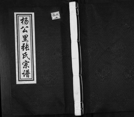 安徽张氏族谱-杨公里张氏宗谱.pdf电子版插图