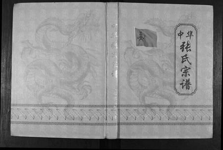 江西张氏族谱-中华张氏族谱.pdf电子版插图