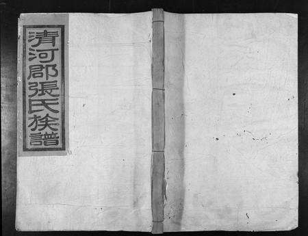 江西张氏族谱-甲申重修湖头张氏族谱[15卷].pdf电子版插图