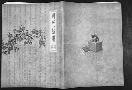安徽周氏族谱-周氏族谱[不分卷].pdf电子版插图