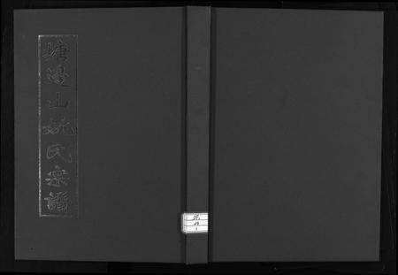 安徽姚氏族谱-塘边山姚氏宗谱 [不分卷].pdf电子版