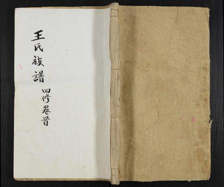安徽王氏族谱-王氏族谱 [12卷,首末各1卷].pdf电子版插图