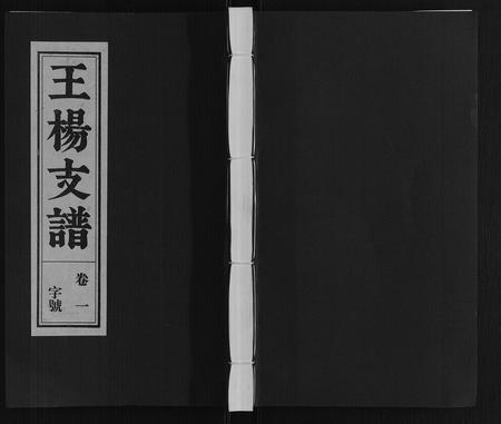 安徽王杨氏族谱-王杨支谱[13卷首末各1卷].pdf电子版插图