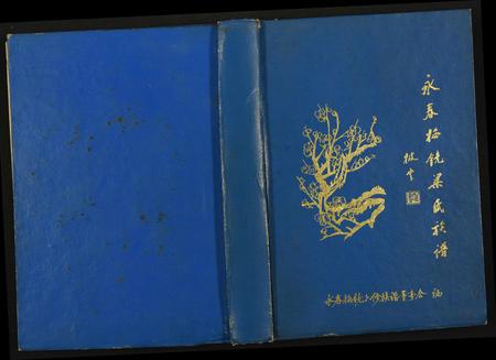 福建梁氏族谱-永春梅镜梁氏族谱.pdf电子版